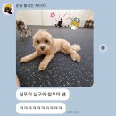 멈무유치원 이미지