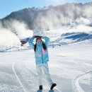 삼현동1길 | 평창 스키장 알펜시아리조트 1박 2일 숙소 및 렌탈샵 추천 후기