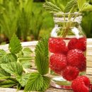 인퓨즈드 이미지