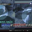 온씨씨티비