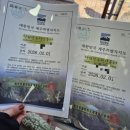금손아로마