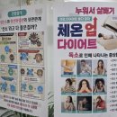 (주)엔에이치에이바이오 | [송파/문정] 바이오포톤 슬리밍 문정점 다이어트 프로그램 후기 (문정 다이어트/송파 다이어트/송파산후...