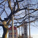 향촌양돈장 이미지