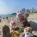 위니메드 이미지