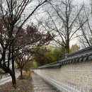 한국지엠전주바로서비스 | ♥ 시간은 짧고 표는 없을 때 | 2025 전주여행 - 1