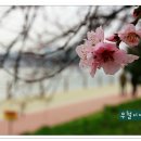 금호강변 이미지