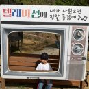 어린이의정원유치원 | 경기 남양주 체험농장 안데르센정원 체험농장 솔직후기 아이와 가볼만한곳