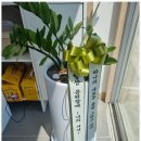 정성세무회계 - 달서구 장산남로 21 | 정성세무회계