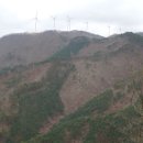 곰치농장 이미지