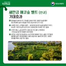 에코숲 이미지