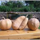 숲속나라 이미지