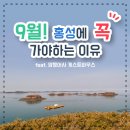 [여행 카드] 9월! 홍성에 꼭 가야하는 이유 이미지