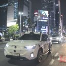 선행개발
