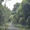 남재 | [가평 풀빌라 기억의 사원 숙박 후기] 프라이빗 독채 남재3 인생숙소 추천 내돈내산