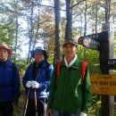 녹차밭약수터 이미지