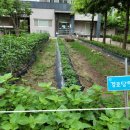 한주아파트경로당 이미지