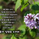 PICTURE&amp;TEXT_20230409_요한복음 20장 19b-20절_부활의 설렘을 누려라_부활절 묵상_라일락(수수꽃다리)_꽃말 &#39;첫 이미지