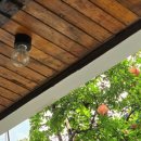 카페 엘림 이미지