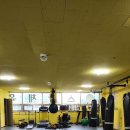 스타체육관 이미지