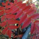 성남시청내 이미지