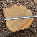 은평-017 이미지