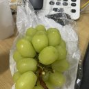 양우농장 | 한달치 일기를 몰아 쓰는 사람이 있다고? 넵... 그게 전데요...?