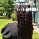 쥬쥬헤어살롱 - 광양시 서평로 31 | 남양주미용실 별내 카페거리 에이솝헤어 극손상모 여름 헤어클리닉 후기