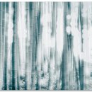 꿈꾸는 숲 이미지