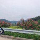 하람떡집