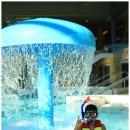 소백산풍기온천리조트 이미지