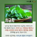 채소 티스토리