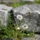 가현어린이공원 이미지