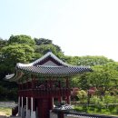 석주건재 이미지