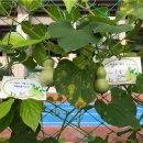 부천종합운동장 이미지