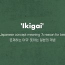 이키가이 - 성동구 뚝섬로 341-18 | 이키가이