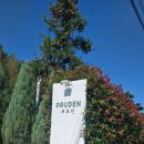 군산월명체육관 | 🌿 군산 개정 카페 푸르던 .아름다운 잔디정원과 통창.힐링공간.(내돈내산 후기)