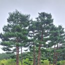 봉제산책쉼터 이미지