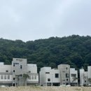 항사리91 이미지