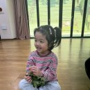 🌱큰새늘놀이-로제트 식물 방방이 태워주기🌱 이미지