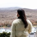 종합카 | 📊 제주 성수기 vs 비수기, 제주도렌트카 차이 완벽 비교