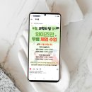 (학부모) 내 아이 일기쓰기 지도 | 영재원 수행평가 대비 와이즈만 과학 일기가 답인 이유