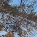 시흥목장 이미지