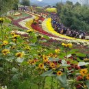 여주-1033 이미지