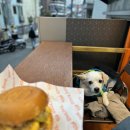 이태원 수제버거 이미지