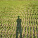 키다리아저씨2 이미지