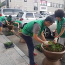 용산1동주민센터 이미지