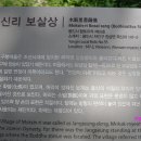 목신리 보살상 티스토리