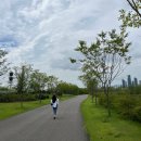 수목원 | 국립세종수목원 오픈런 후기, 사람 없이 둘이서 5시간 걷기