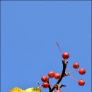 고향뜰 농장 이미지