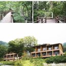 10월7~8일(수,목)[리무진]청도감따기체험+숲체원숙박+청도읍성+운문사+자계서원은행나무+유천문화마을(1만원상품권+감2키로제공) 이미지